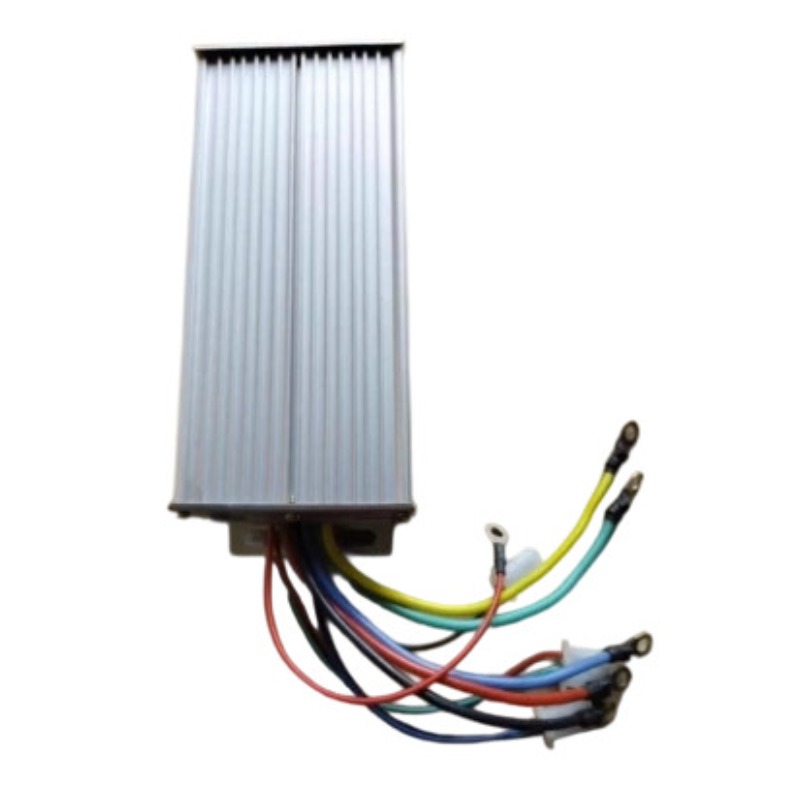 48V 1000/1200/1500W High-Speed - Fishing Boat Trolling Motor recension och pris